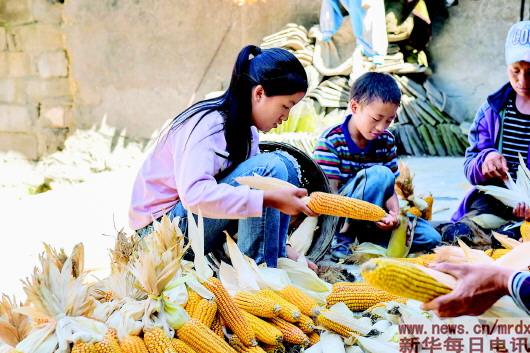 1536917293606360.jpg 1123430369_15368956243961n.jpg