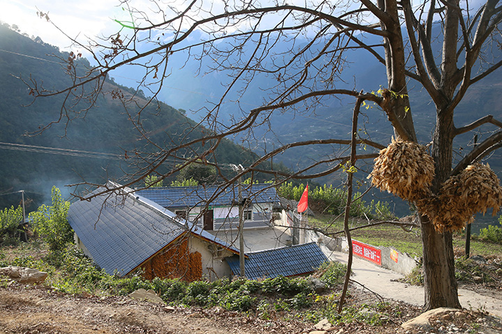 1545969635986940.jpg 微信图片_20181227224520.jpg