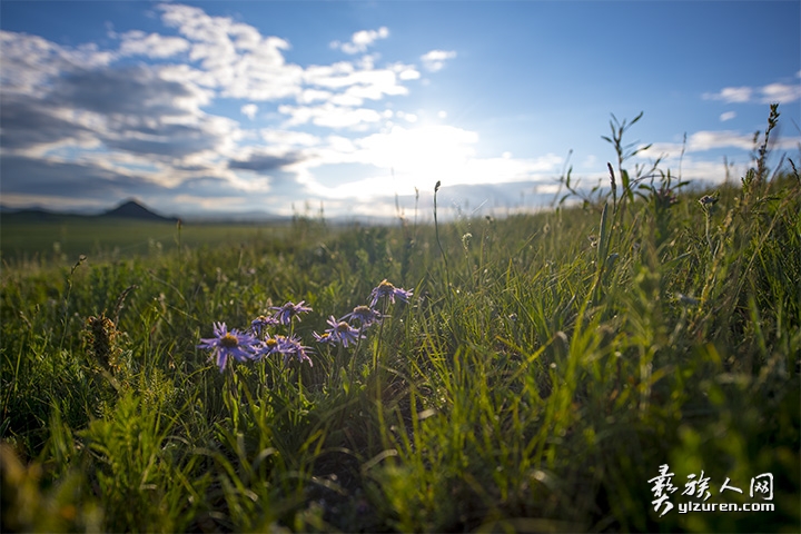 1557800838844651.jpg 未标题-9.jpg