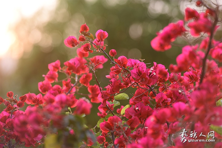 1557800996968698.jpg 未标题-92.jpg