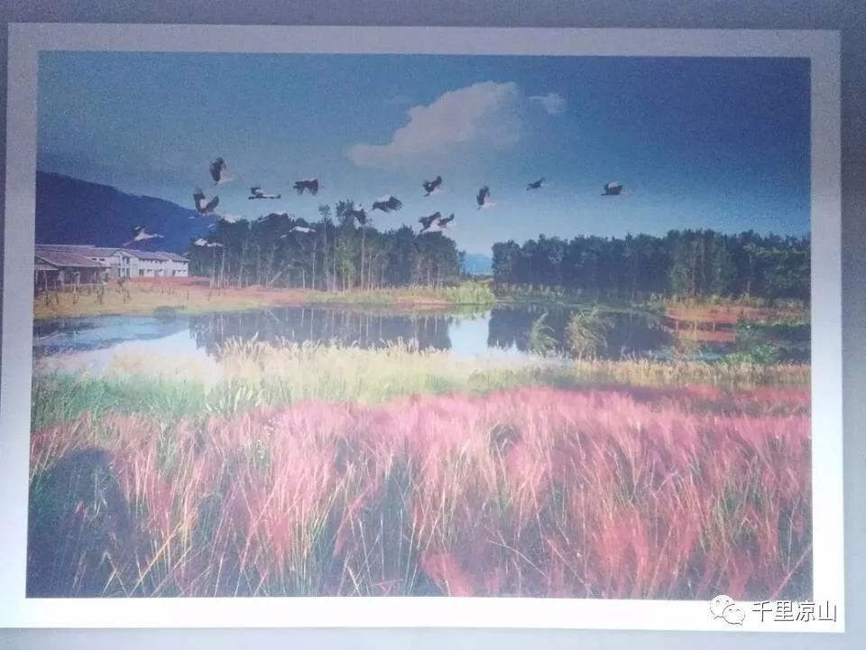 1559353496702149.jpeg 1559353496702149.jpeg