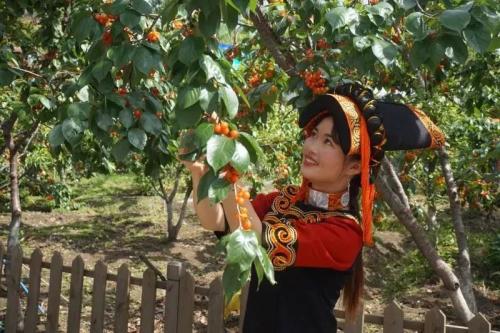 1559641503347654.jpg 1559641503347654.jpg