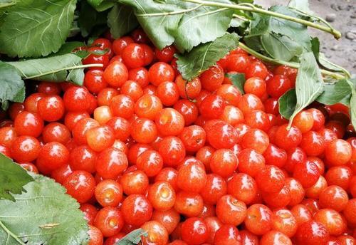 1559641675177993.jpg 1559641675177993.jpg