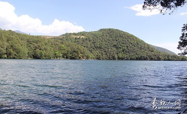 1559642370602217.jpg 6.jpg