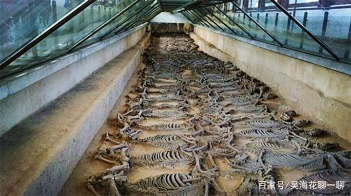 1575010684125941.jpg 未标题-7.jpg