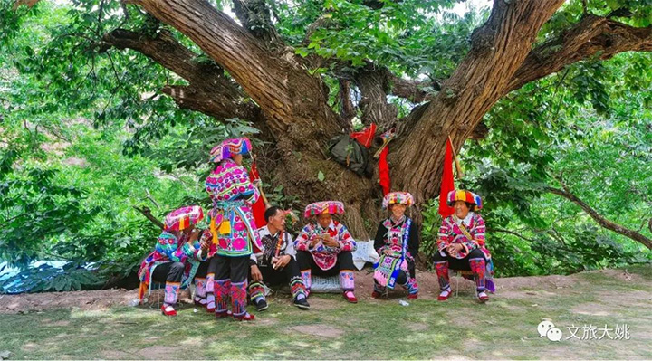 1581518868300493.jpg 未标题-4.jpg