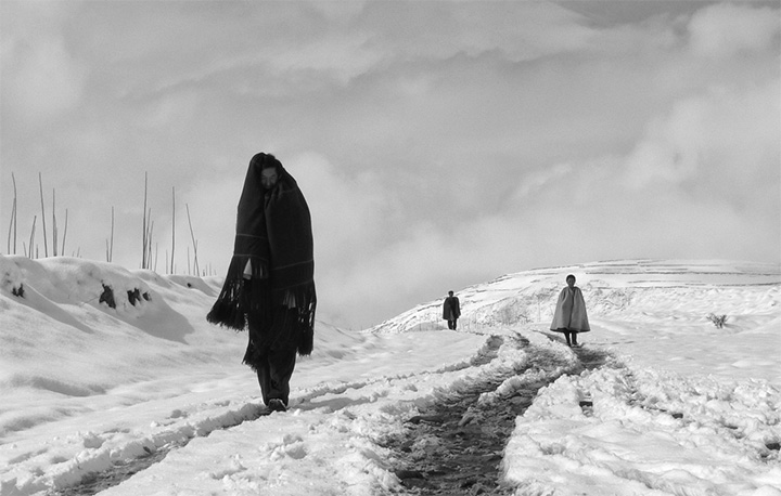 1584334547457577.jpg 1584334547457577.jpg