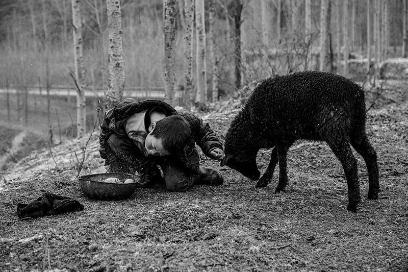 1584759665137232.jpg 1584759665137232.jpg