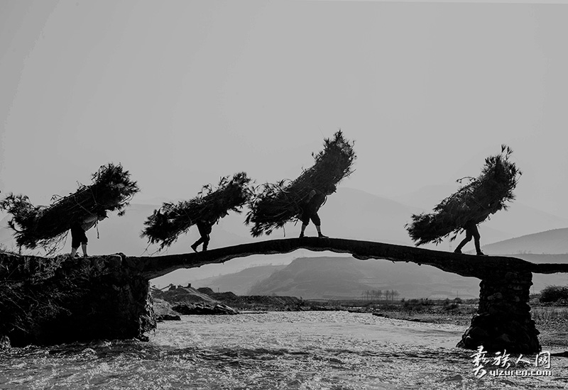 1584759666309539.jpg 1584759666309539.jpg