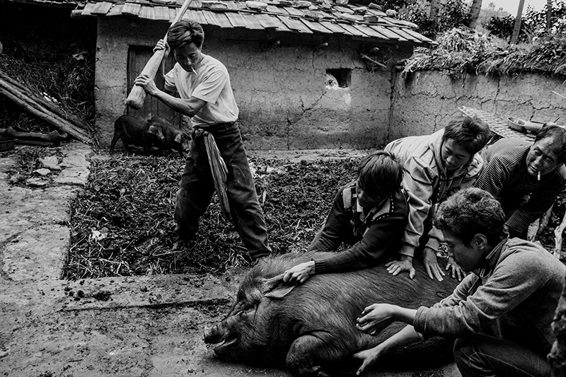 1584759667558975.jpg 1584759667558975.jpg