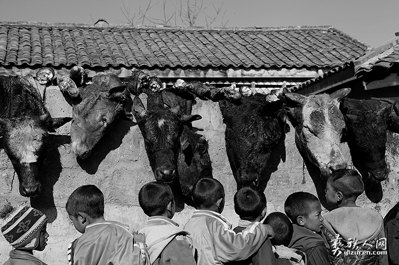 1584759667252941.jpg 1584759667252941.jpg