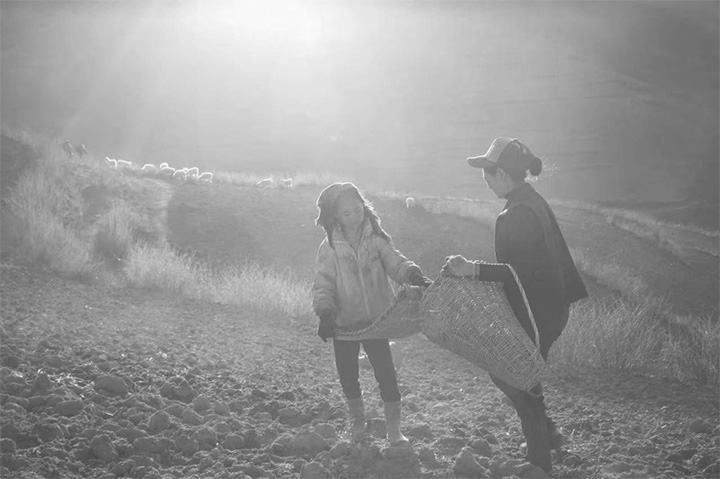 1585290573766979.jpg p333.jpg