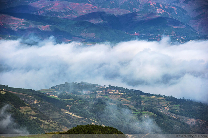 1591321275525159.jpg 1.888.jpg