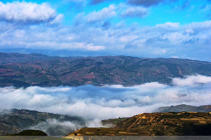 1591321452770229.jpg 1.a3.jpg