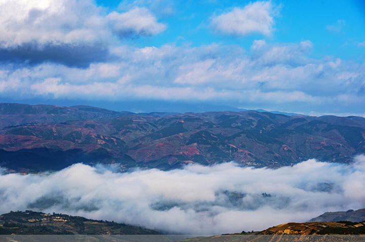 1591321526835198.jpg 1.a7.jpg