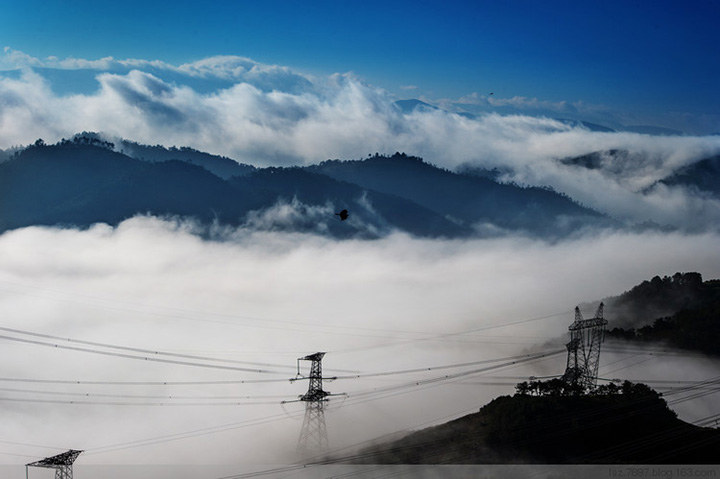 1591321552670208.jpg 1.a9.jpg