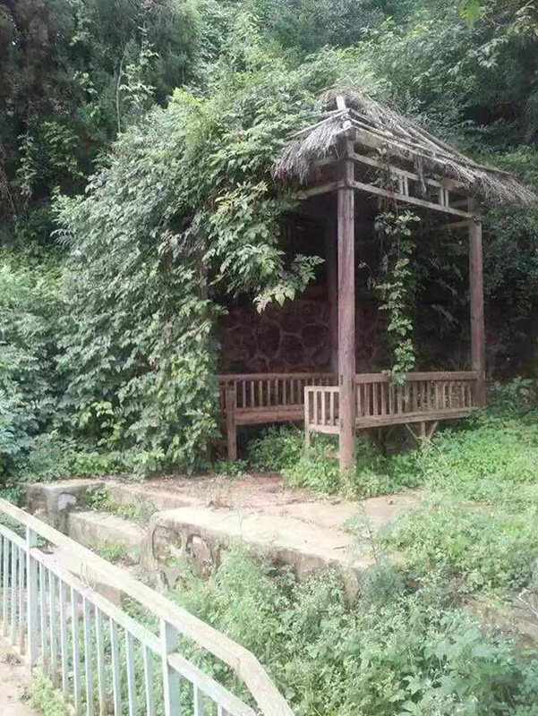 1594531814443776.jpg 5.222.jpg