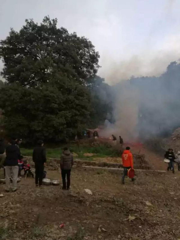 1594531934699300.jpg 5.666.jpg