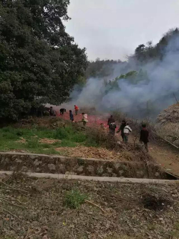 1594532012887562.jpg 5.999.jpg