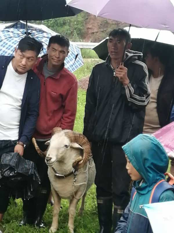 1594608334557580.jpg mianyang.jpg