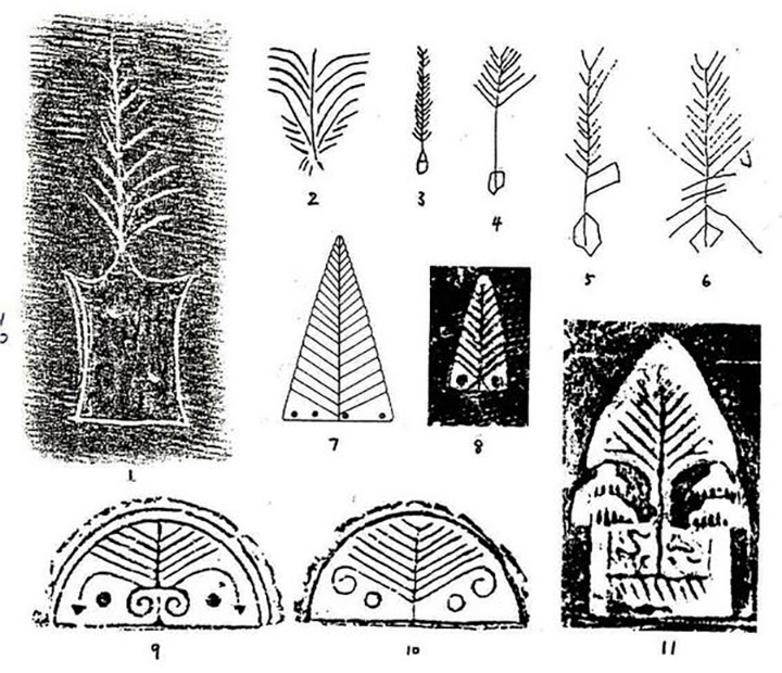 1595470784725078.jpg 5.a3.jpg