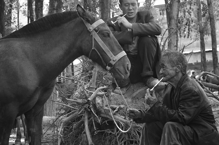 1595826498849332.jpg 2.444.jpg