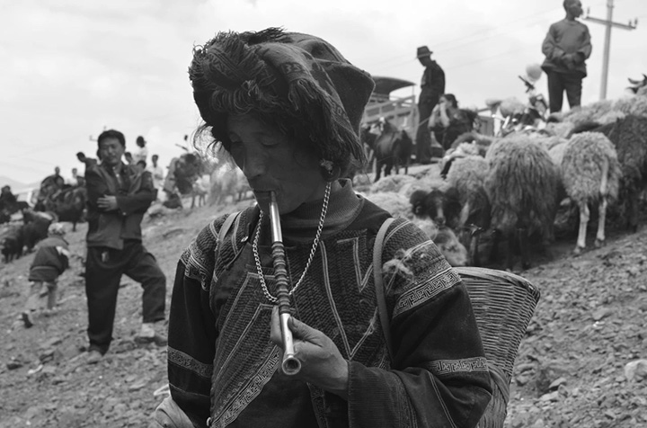 1595826568717791.jpg 2.666.jpg