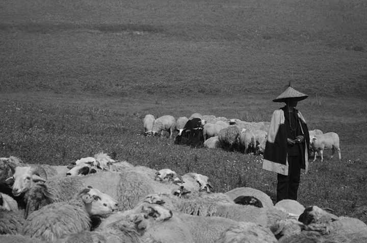 1595826923904530.jpg 2.a2.jpg