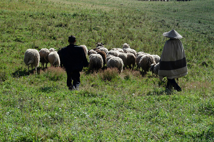 1595827073142129.jpg 2.333.jpg