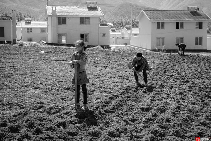 1596168837611898.jpg 1.333.jpg