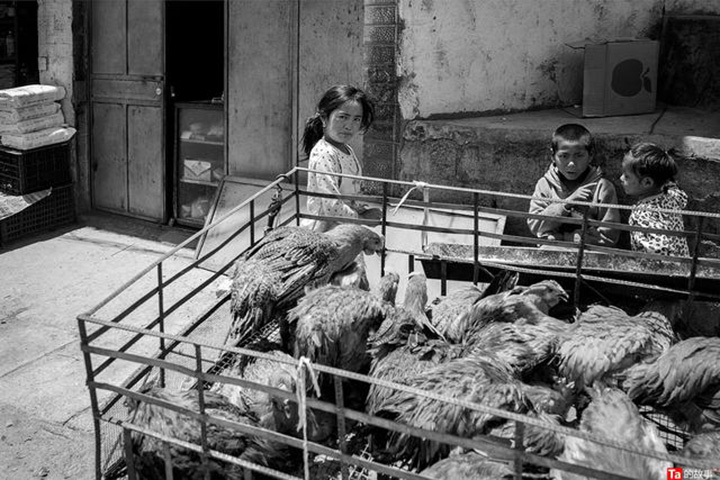 1596169245807554.jpg 1.a9.jpg