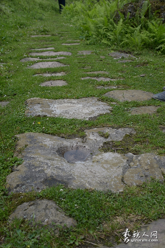 1597469680192076.jpg 6.2.jpg