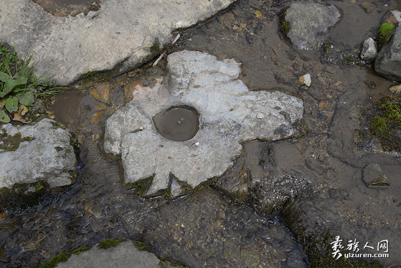 1597469750337802.jpg 6.4.jpg