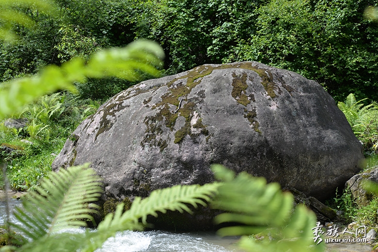 1597469929244785.jpg 6.8.jpg