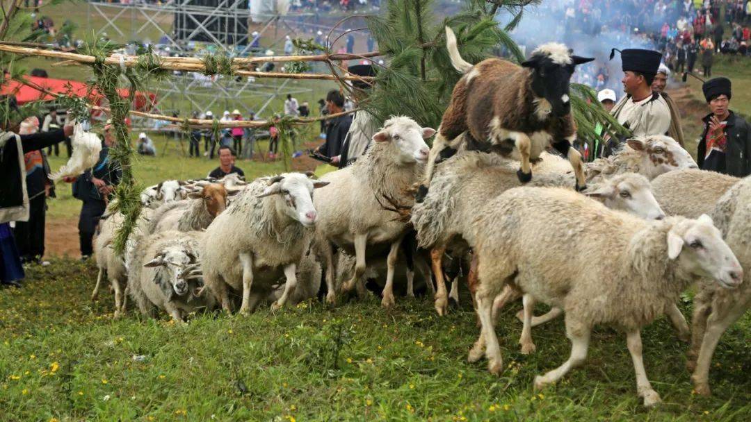 摄影记录:大凉山美姑县的彝族毕摩 摄影记录:大凉山美姑县的彝族毕摩