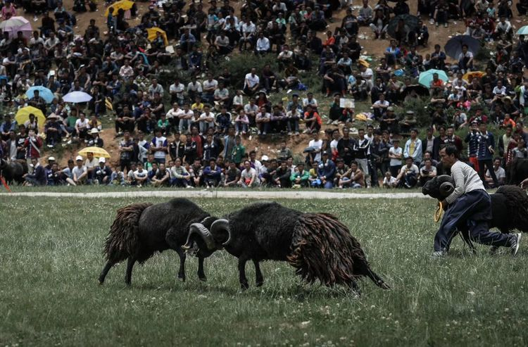 1603251620371795.png image.png