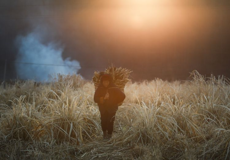 1603257914749799.png image.png