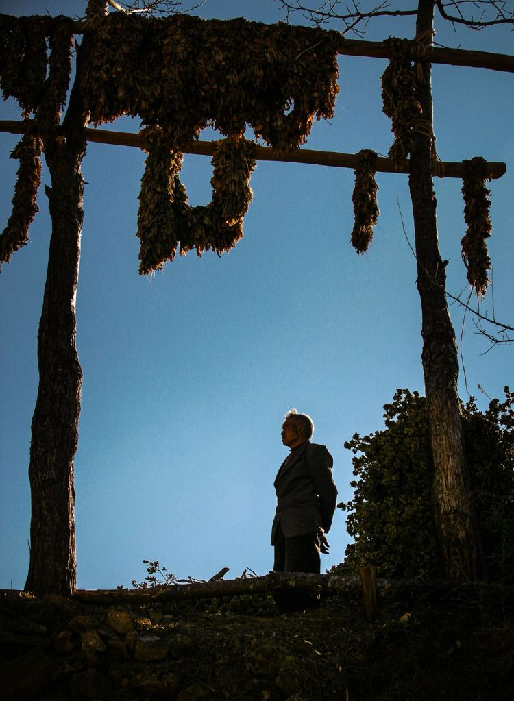 1603258124605305.png image.png