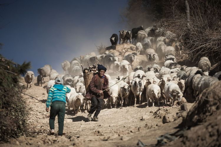 1603268024596133.png image.png