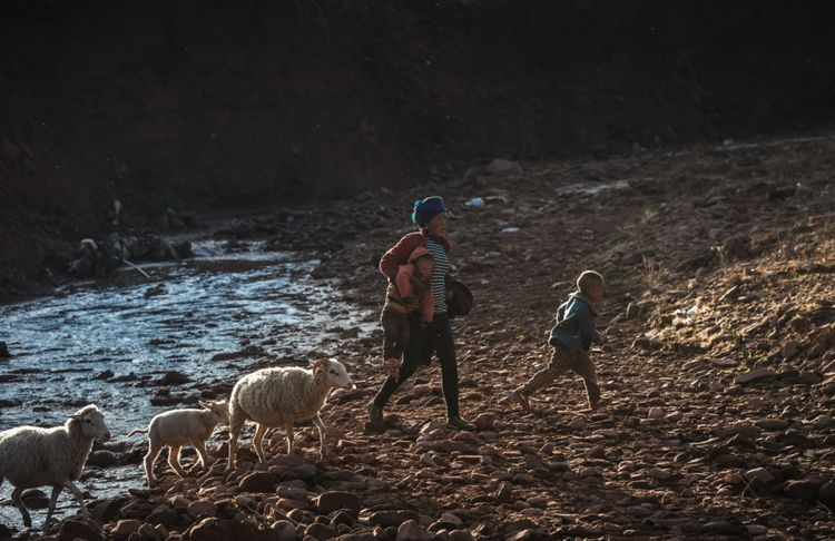 1603268037918075.png image.png