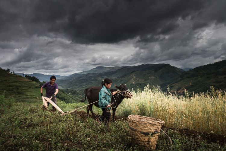 1603268106716425.png image.png