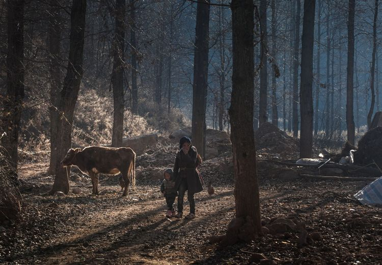 1603268126362979.png image.png