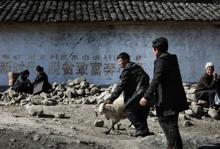 1603268897286379.png image.png