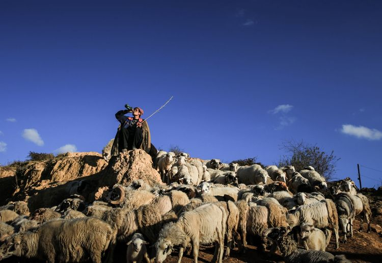 1603268939620334.png image.png