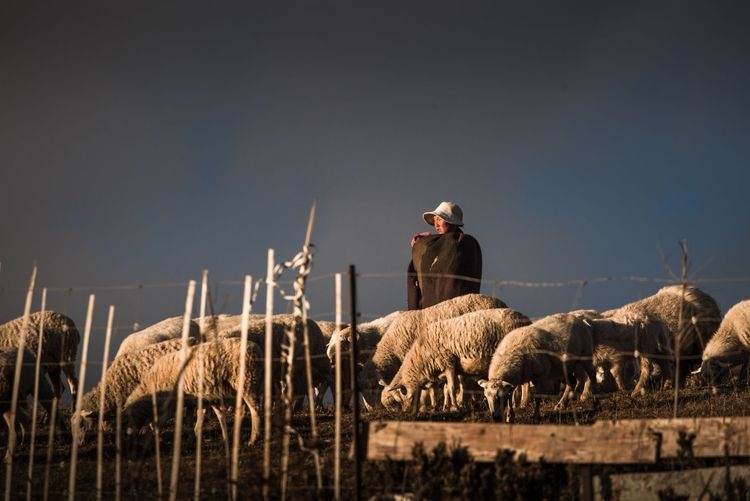 1603268952832076.png image.png