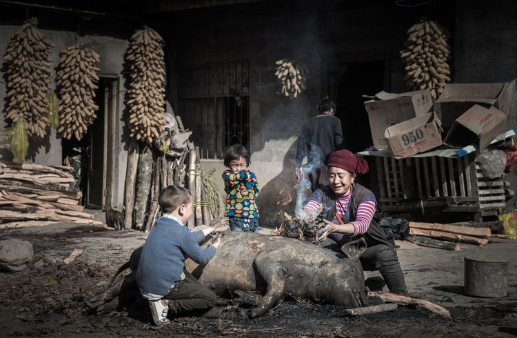 1603269008480073.png image.png