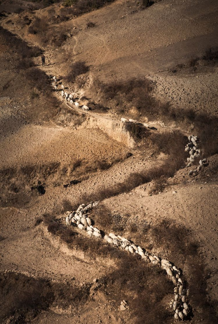 1603269458949543.png image.png