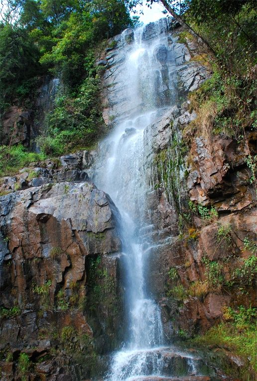 河流流域林木茂密,瀑布落差大,在近千米的河道上有高低落差瀑布十余个,最高瀑布落差40余米,形成各具特色的瀑布群。 河流流域林木茂密,瀑布落差大,在近千米的河道上有高低落差瀑布十余个,最高瀑布落差40余米,形成各具特色的瀑布群。