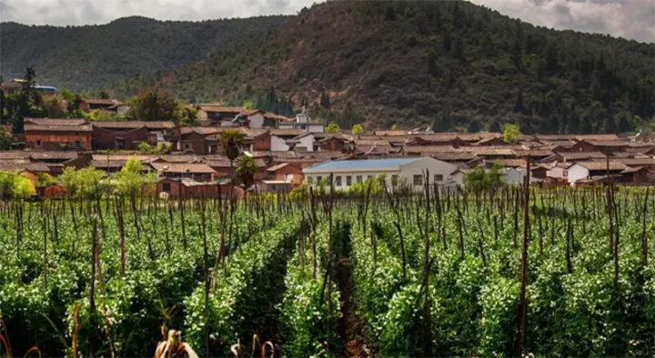 1606966649229579.png image.png