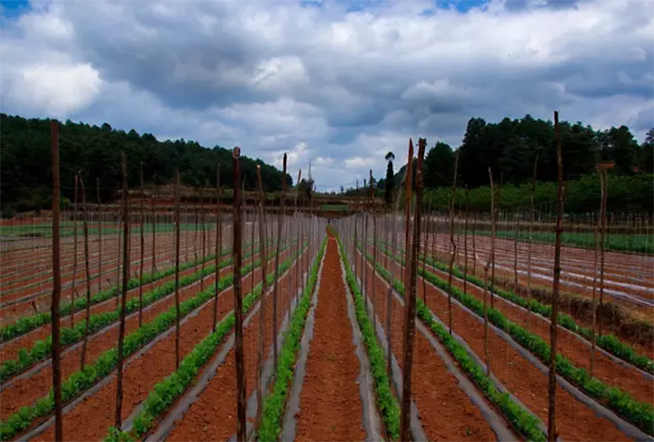 1606966971824788.png image.png